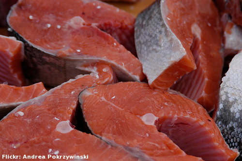 Salmon