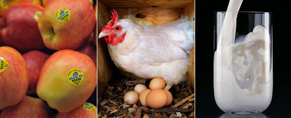 Chicken in the middle