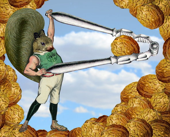 Nuts
