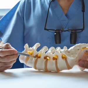 chiropractor pointing at a spine